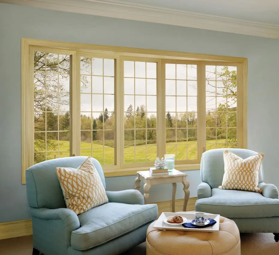 $1,000 Off Window | Spring Savings!