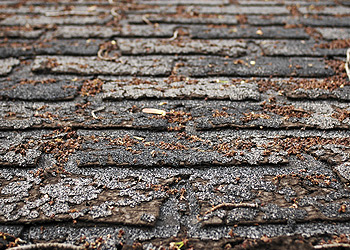 Cracked or curled shingles